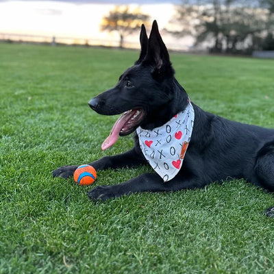 Personalized Dog Bandanas for Fun and Style